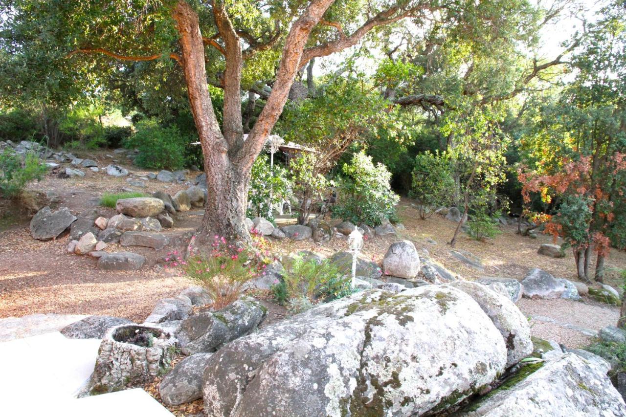 Residence Les Jardins De Sainte-Lucie "Piscine Chauffee" المظهر الخارجي الصورة